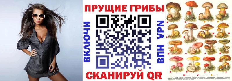 Галлюциногенные грибы Psilocybe  мега как зайти  Бикин 